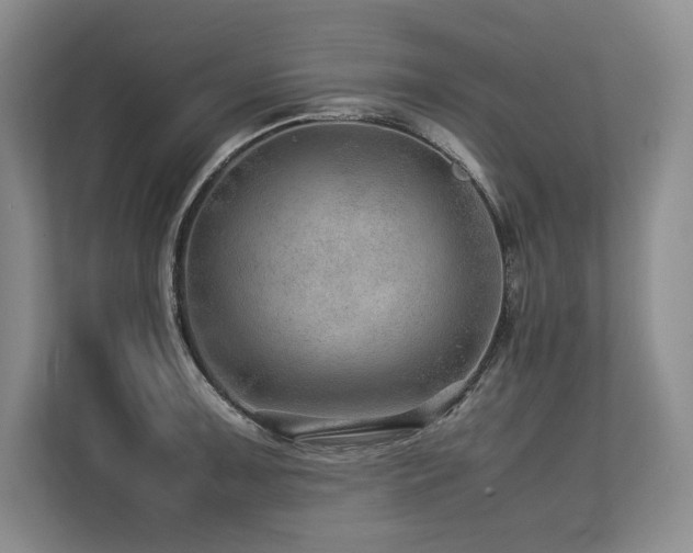 X0000113561091200909181215