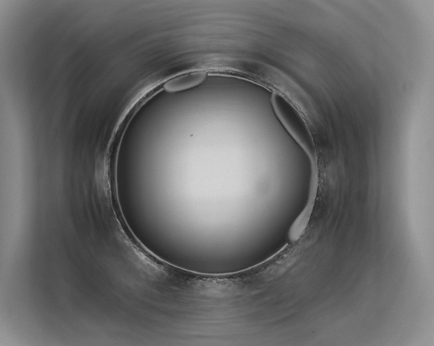 X0000113561092200909181214