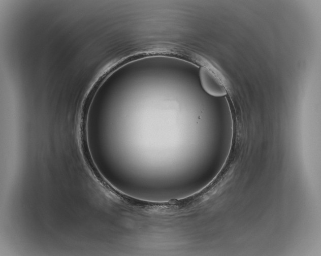 X0000113561093200909181214