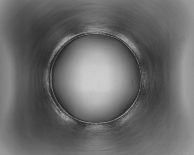 X0000113561094200909181214