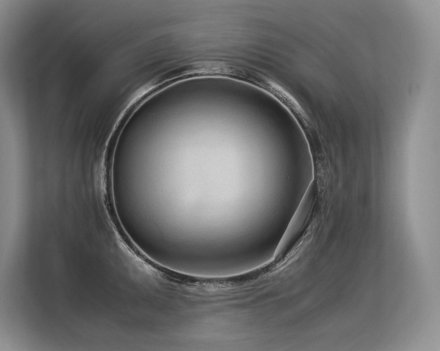 X0000113561095200909181214