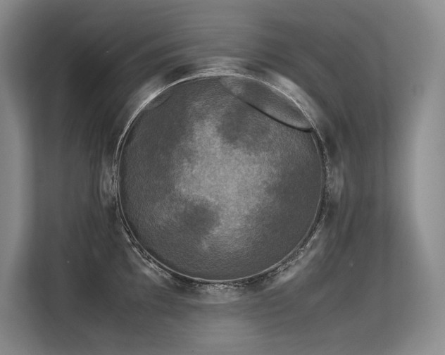 X0000113561097200909181214