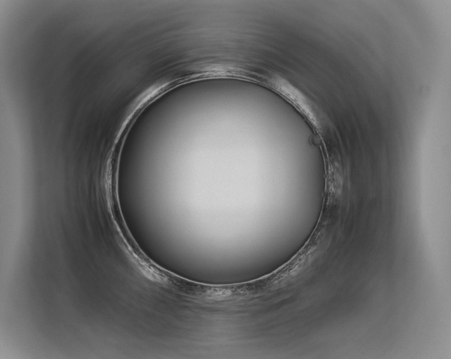 X0000113561098200909181214