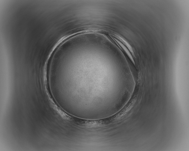 X0000113561099200909181214