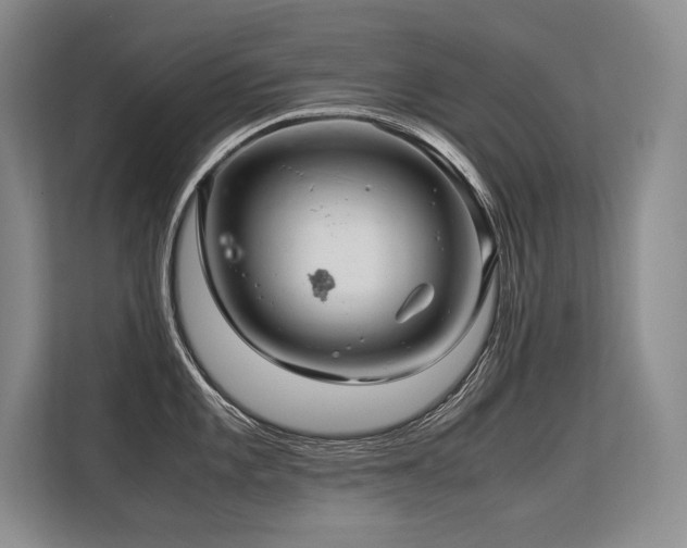 X0000113561101200909181214