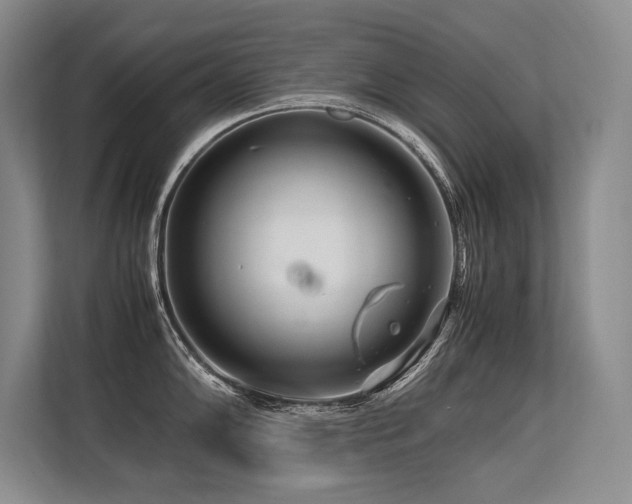 X0000113561102200909181214