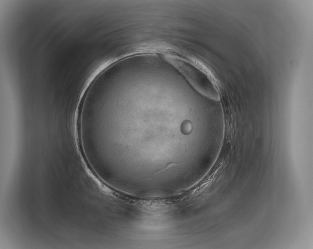 X0000113561103200909181214
