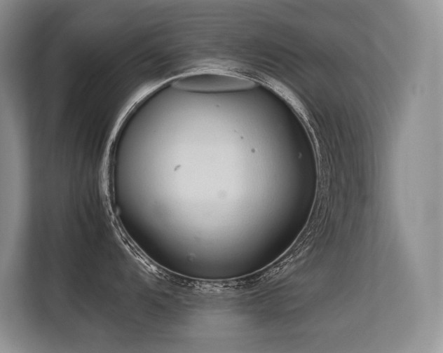 X0000113561104200909181214
