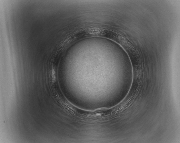 X0000113561106200909181214