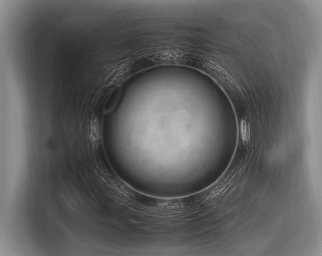 X0000113561107200909181214