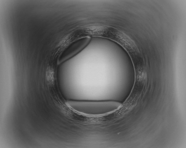 X0000113561108200909181214