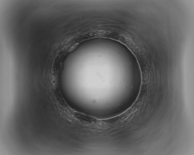 X0000113561109200909181214