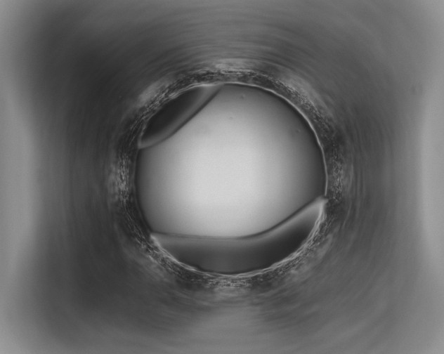 X0000113561110200909181214