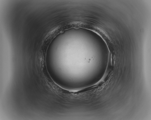 X0000113561111200909181214