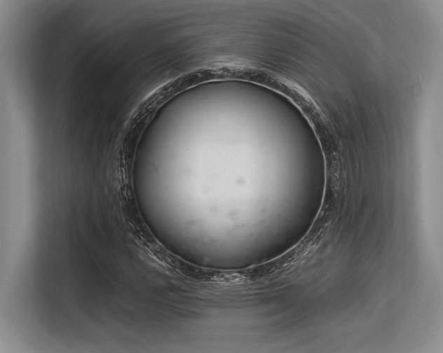 X0000113561112200909181214