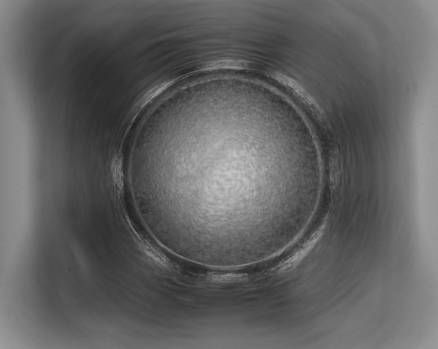 X0000113561113200909181214