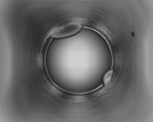 X0000113561114200909181214