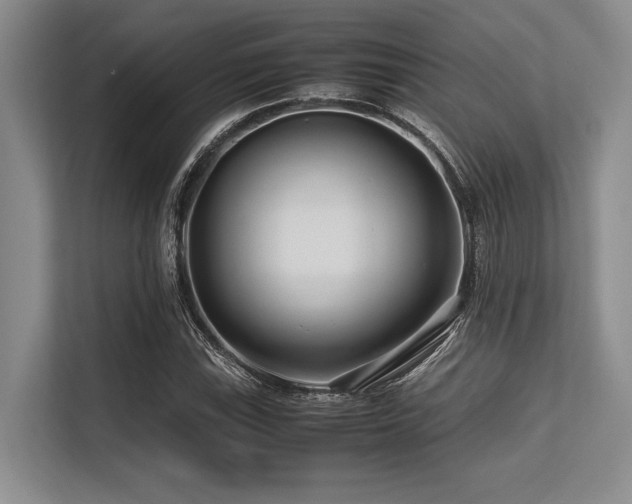 X0000113561115200909181214