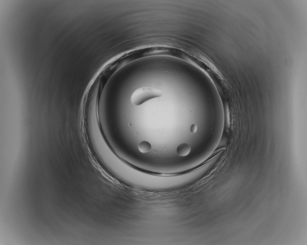 X0000113561116200909181214