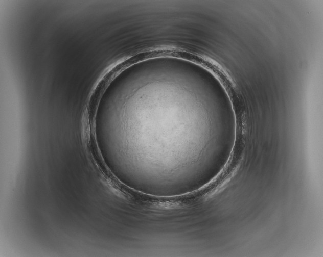 X0000113561117200909181214
