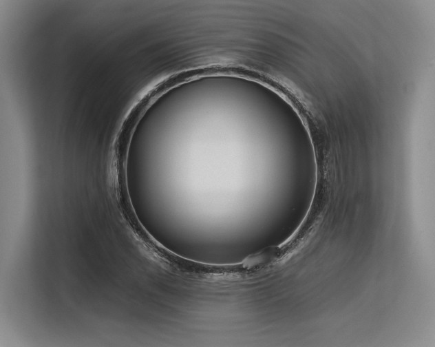 X0000113561118200909181214