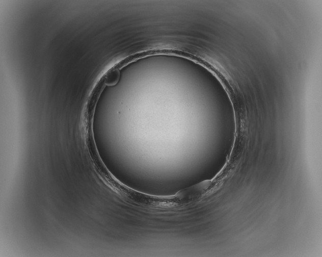 X0000113561119200909181214
