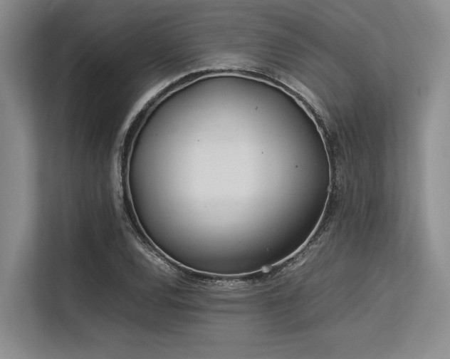 X0000113561120200909181214