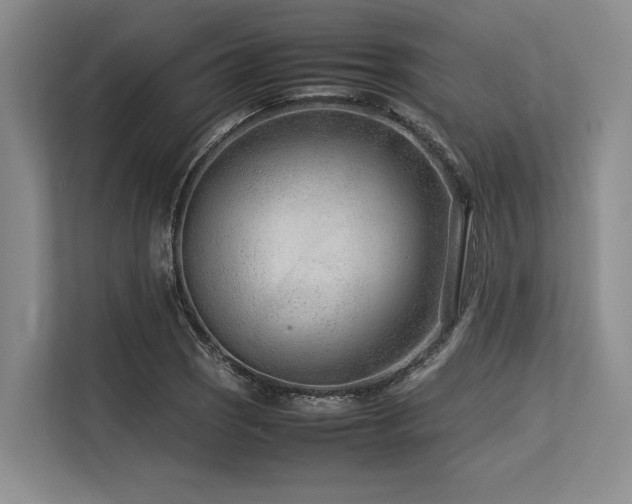 X0000113561121200909181214