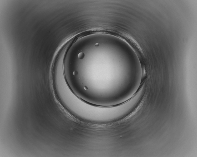 X0000113561122200909181214