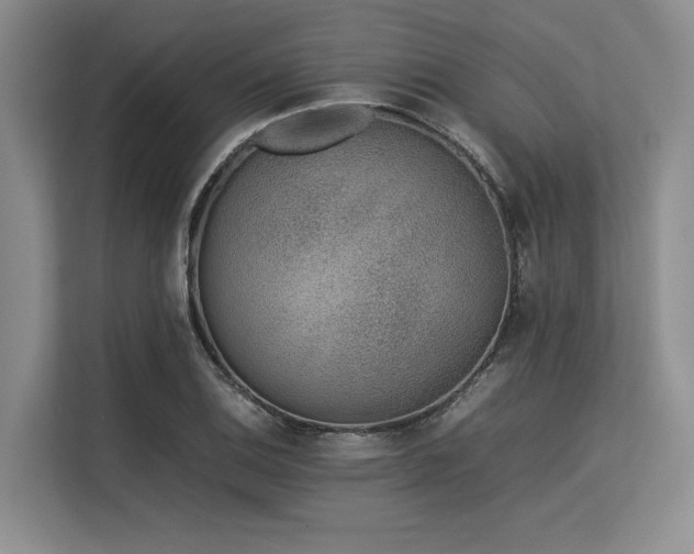 X0000113561124200909181214