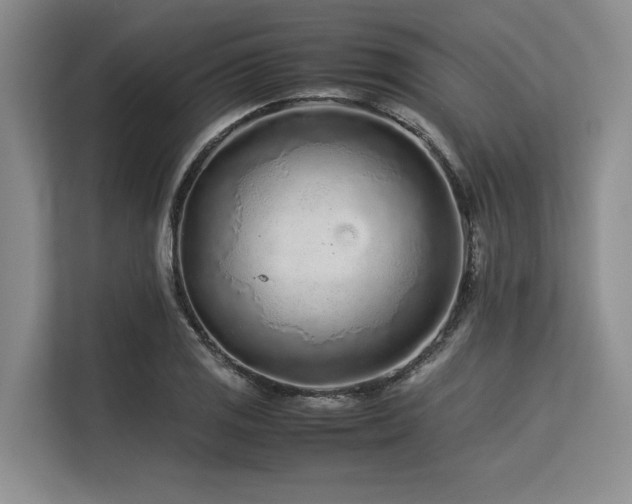X0000113561125200909181214