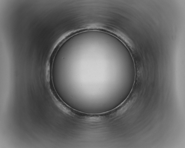 X0000113561126200909181214
