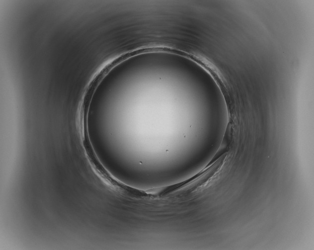 X0000113561127200909181214