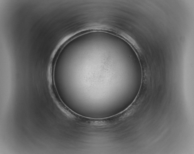 X0000113561128200909181214