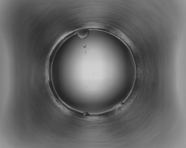 X0000113561132200909181214