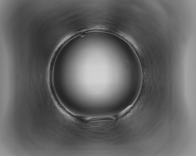 X0000113561135200909181214