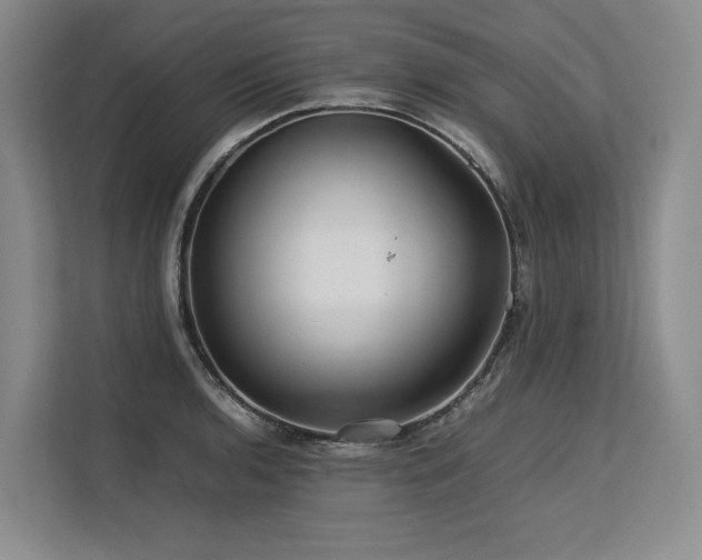 X0000113561136200909181214