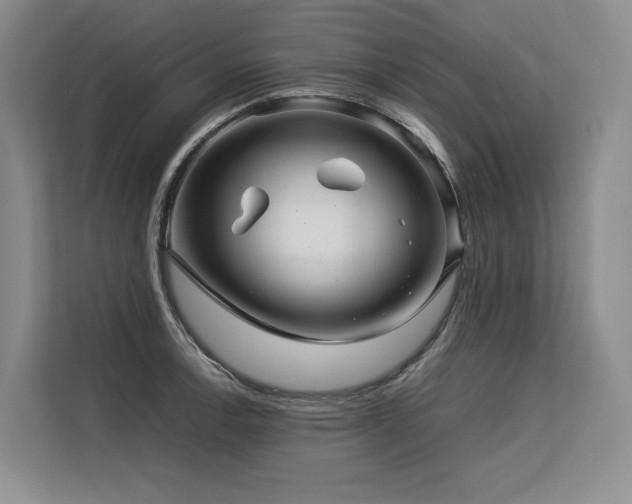 X0000113561138200909181214