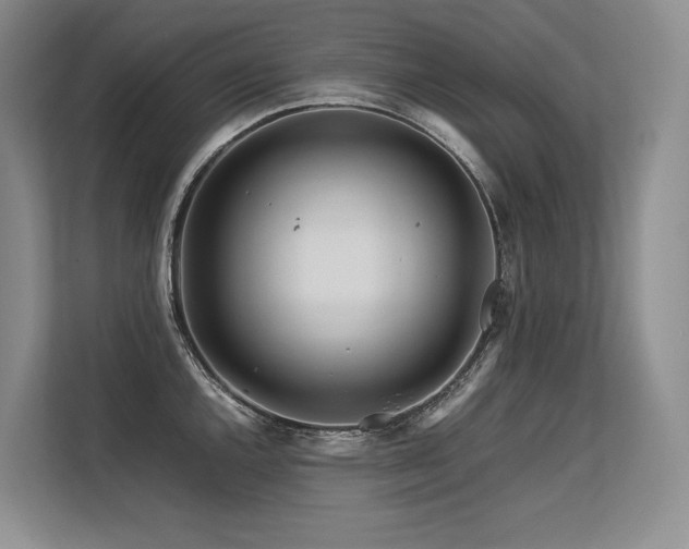 X0000113561144200909181214