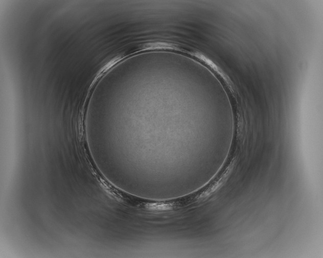 X0000113561145200909181214