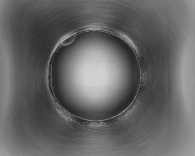 X0000113561146200909181214