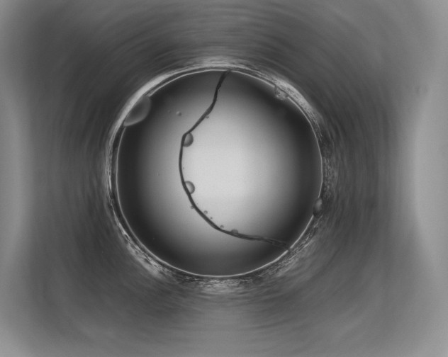 X0000113561148200909181214