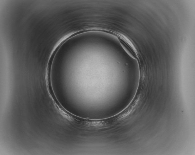 X0000113561149200909181214