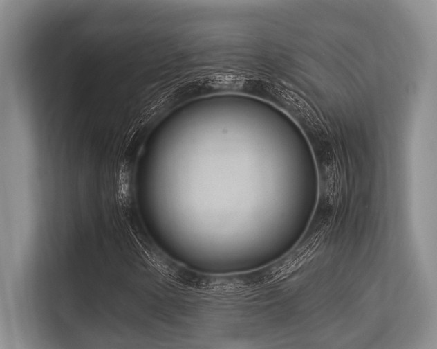 X0000113561154200909181214