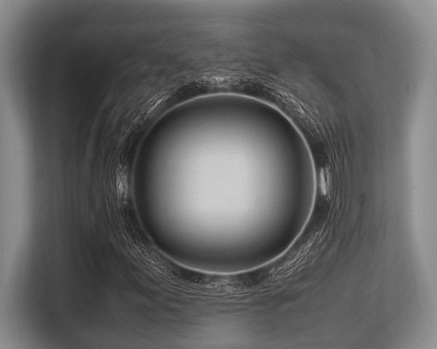 X0000113561155200909181214