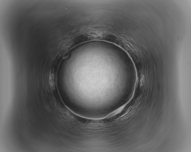 X0000113561156200909181214