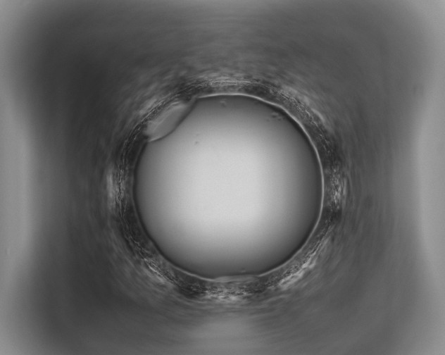 X0000113561157200909181214