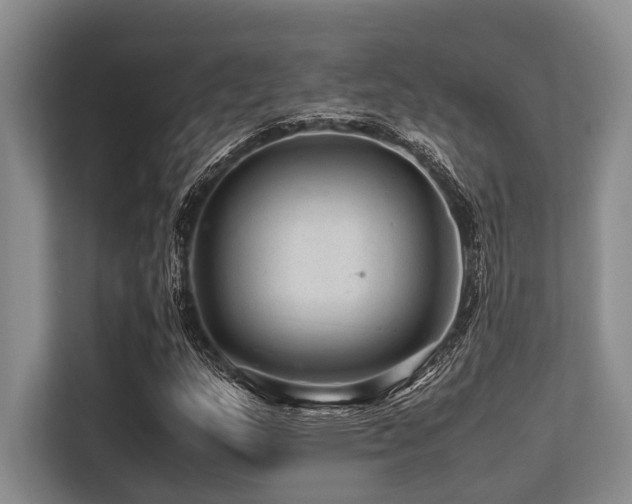 X0000113561159200909181214