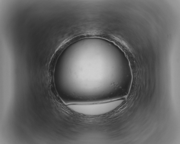 X0000113561160200909181214