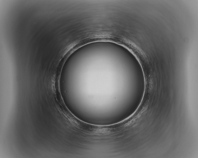 X0000113561162200909181214